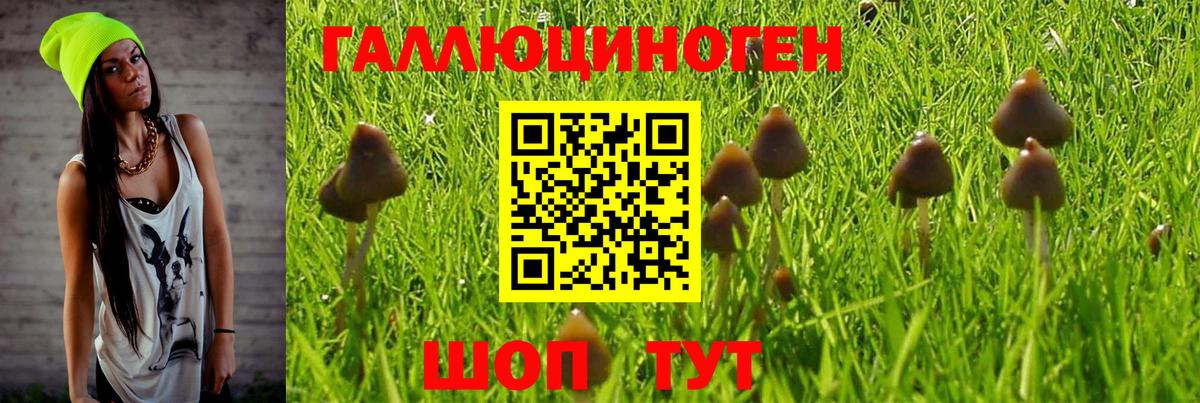 Галлюциногенные грибы Magic Shrooms Прохладный