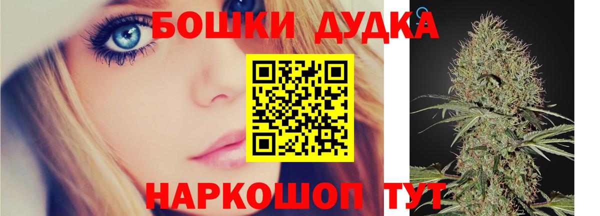 Бошки марихуана сатива Прохладный